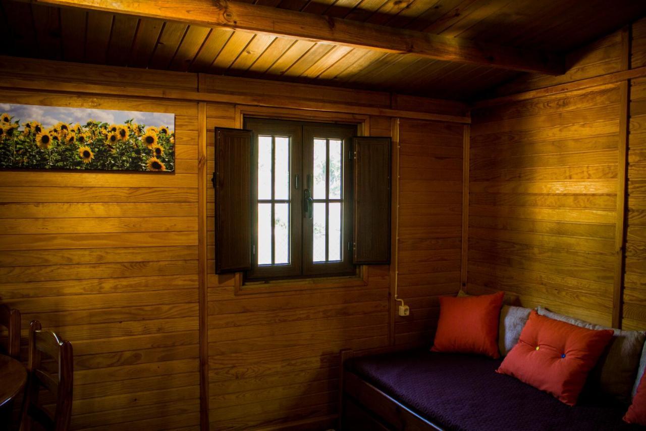 Xisto Camping Janeiro de Baixo Exterior foto